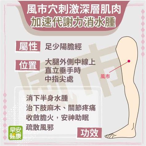 風是穴|按風市穴治失眠、散風邪、消水腫！中醫推薦的養生神。